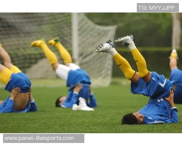 刘成足球：探索中国足球的未来与青少年培养的关键路径